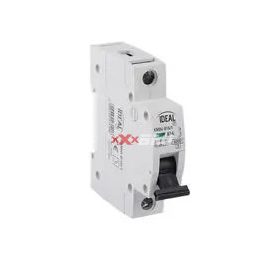 Kismegszakító 1P C 16A 6kA